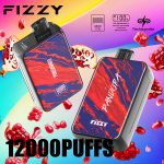 Fizzy Pandora 12000 Puffs