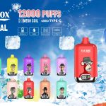 ELF Box 12000 puffs
